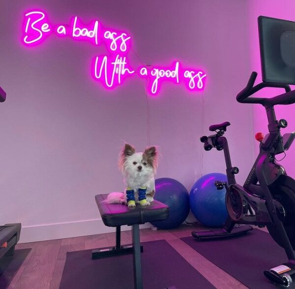 Gym Neon Sign