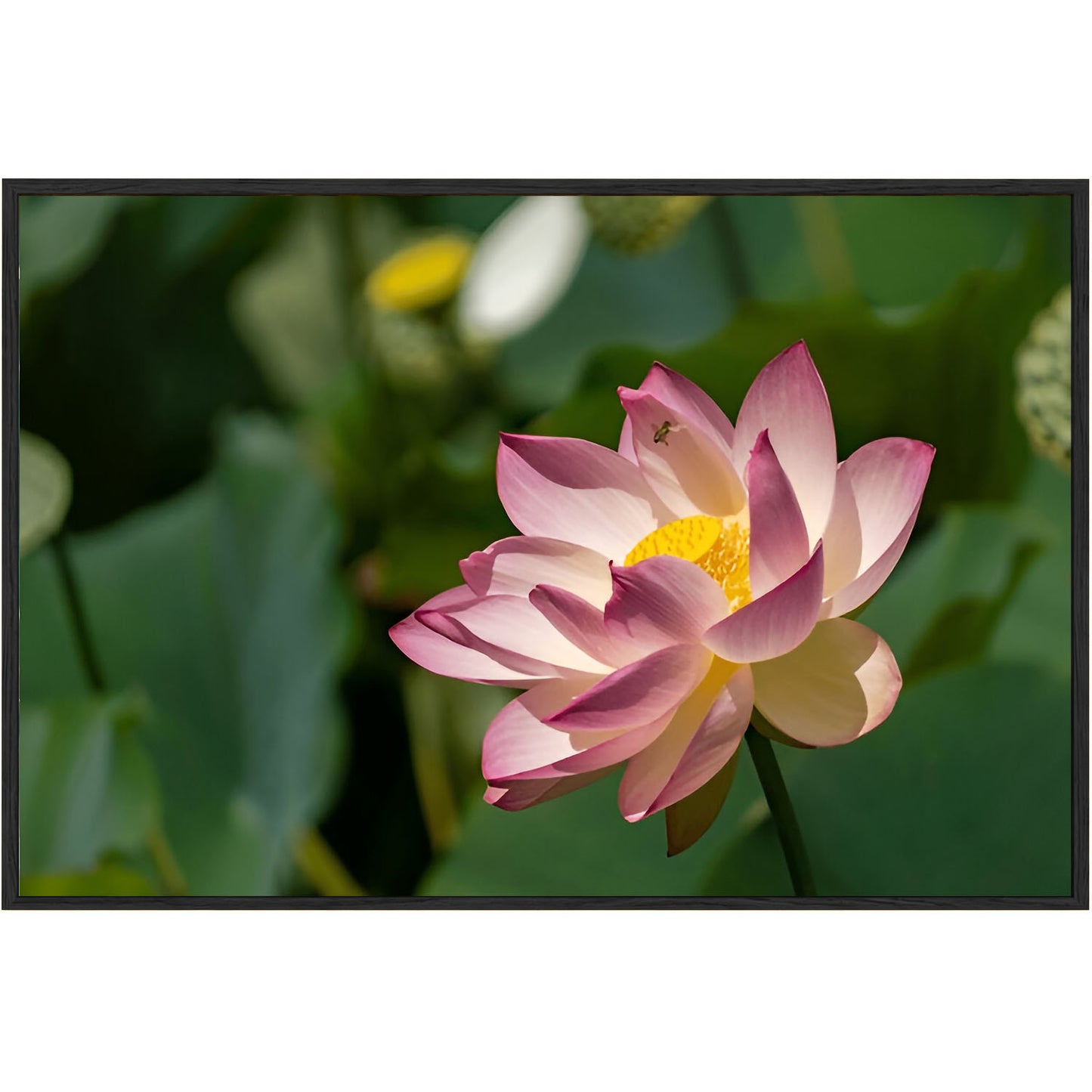 painting for drawing room