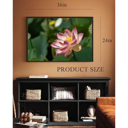 Wall Art & Paintings