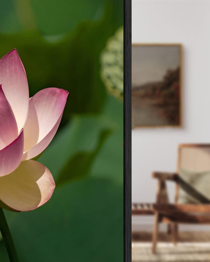 Beautiful Wall Paintings