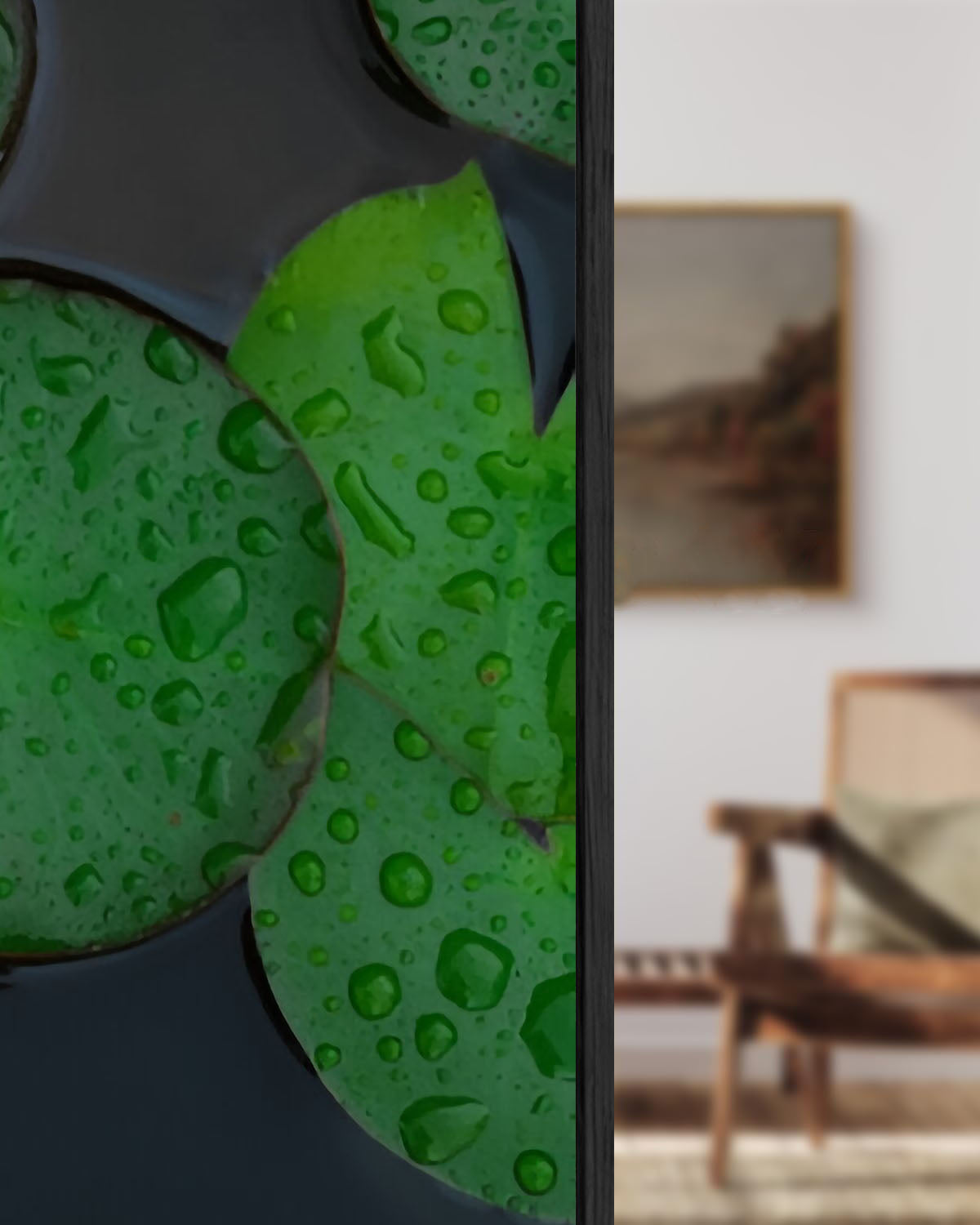 Beautiful Wall Paintings