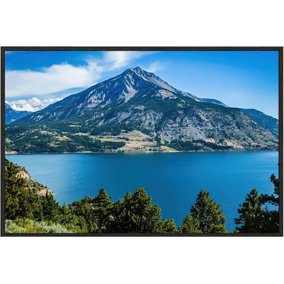 painting for drawing room