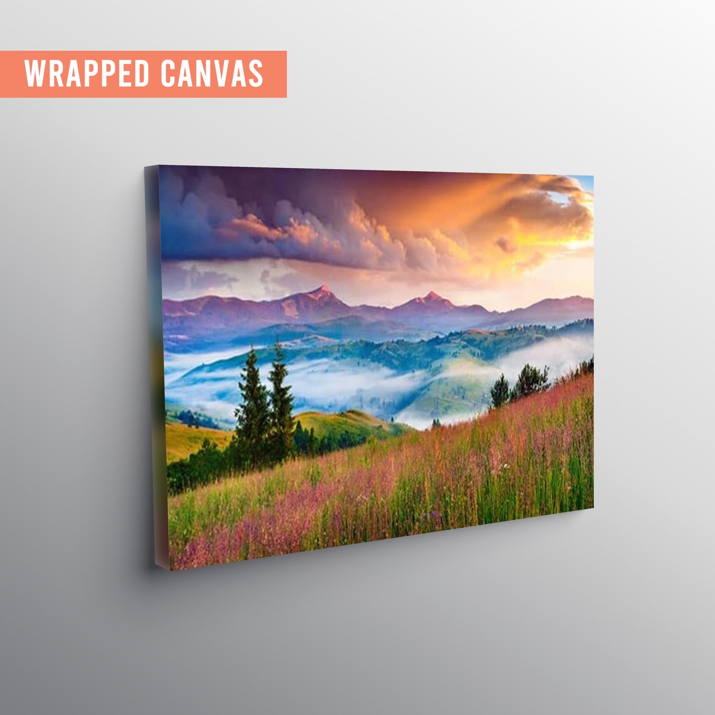 Beautiful Wall Paintings